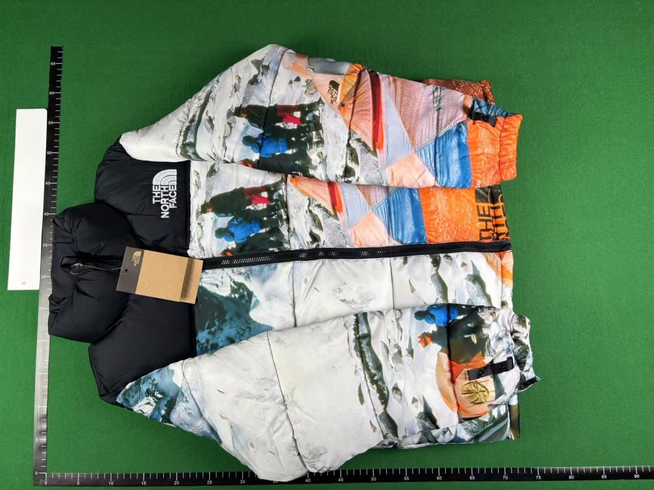 The North Face down jacket