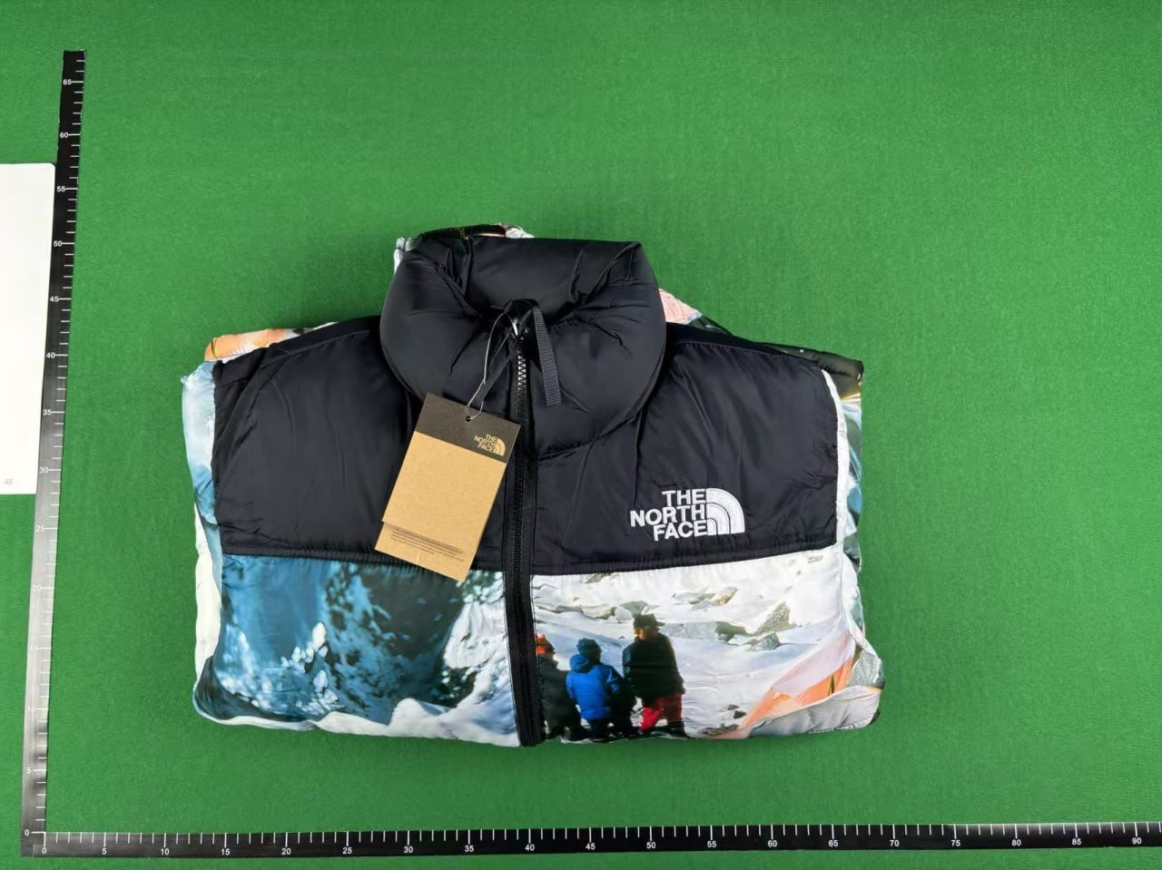 The North Face down jacket