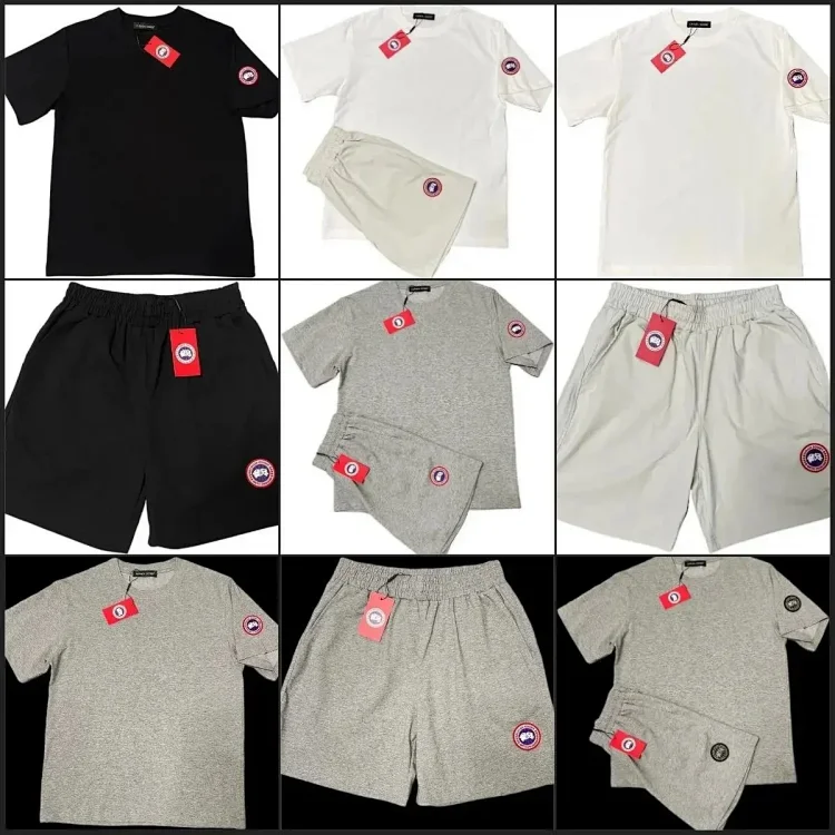 Canadagoose/ESS ESSENTIALS/Stone Island/t-shirt/tee/pants set/suit