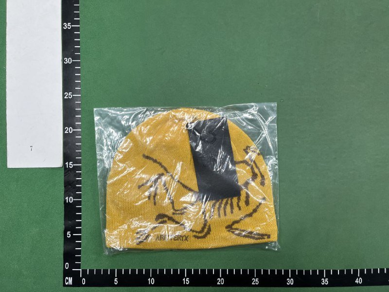 Arc'teryx Dino Skeleton Knitted Hat [28 styles]