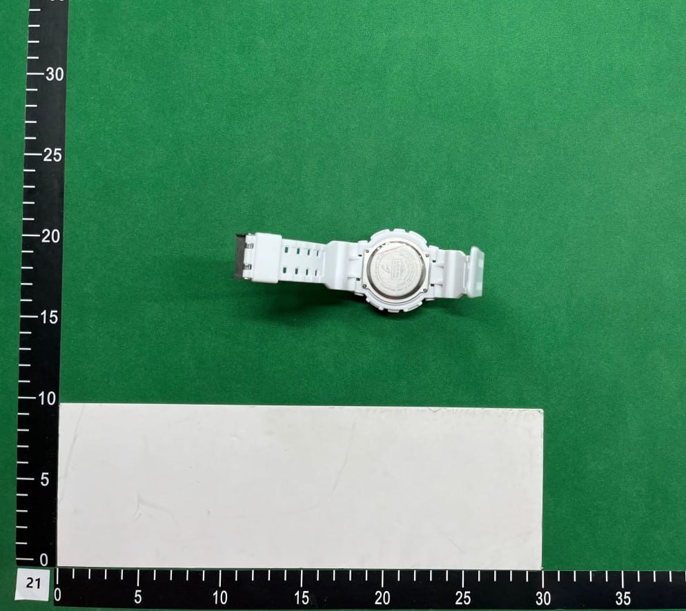 CASIO