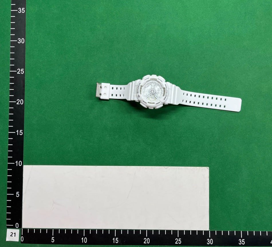 CASIO