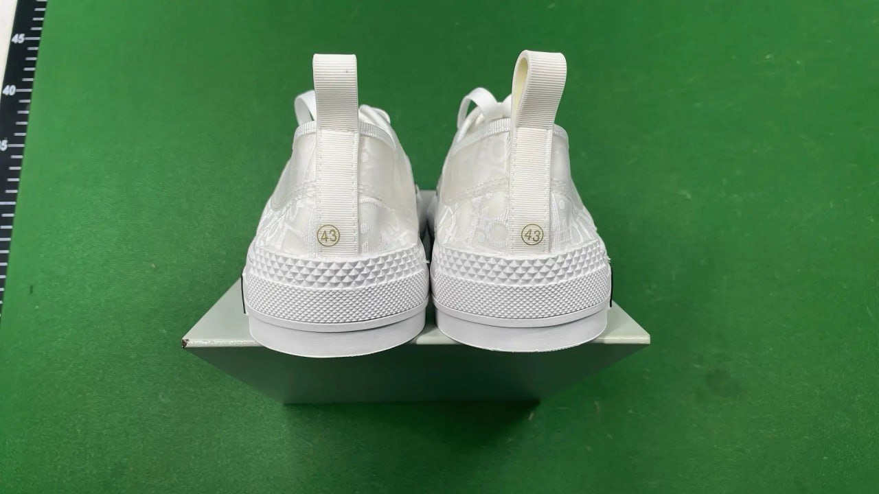 Dior B23