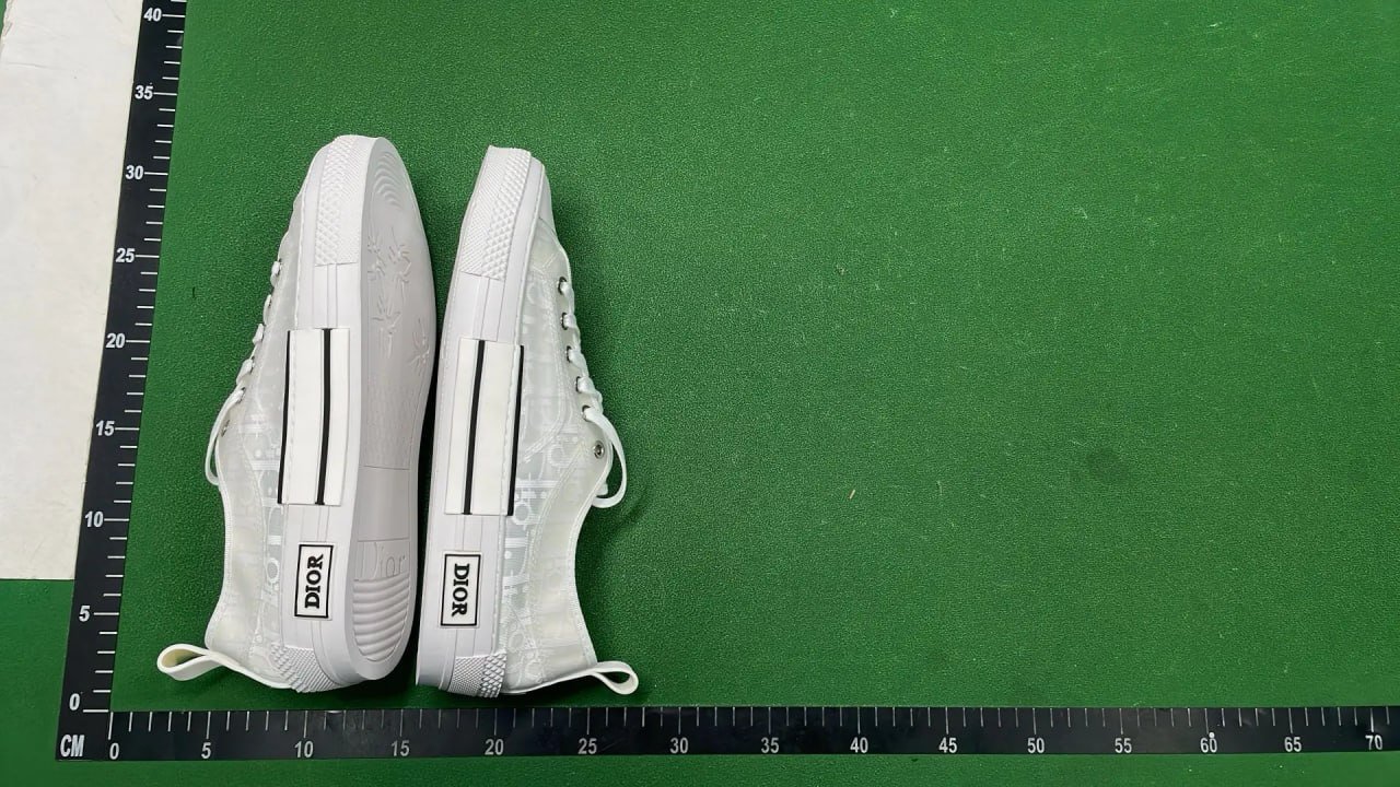Dior B23