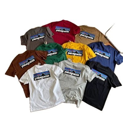 patagonia tee