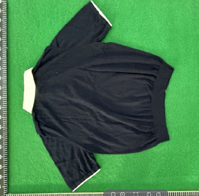 Polo LV tee
