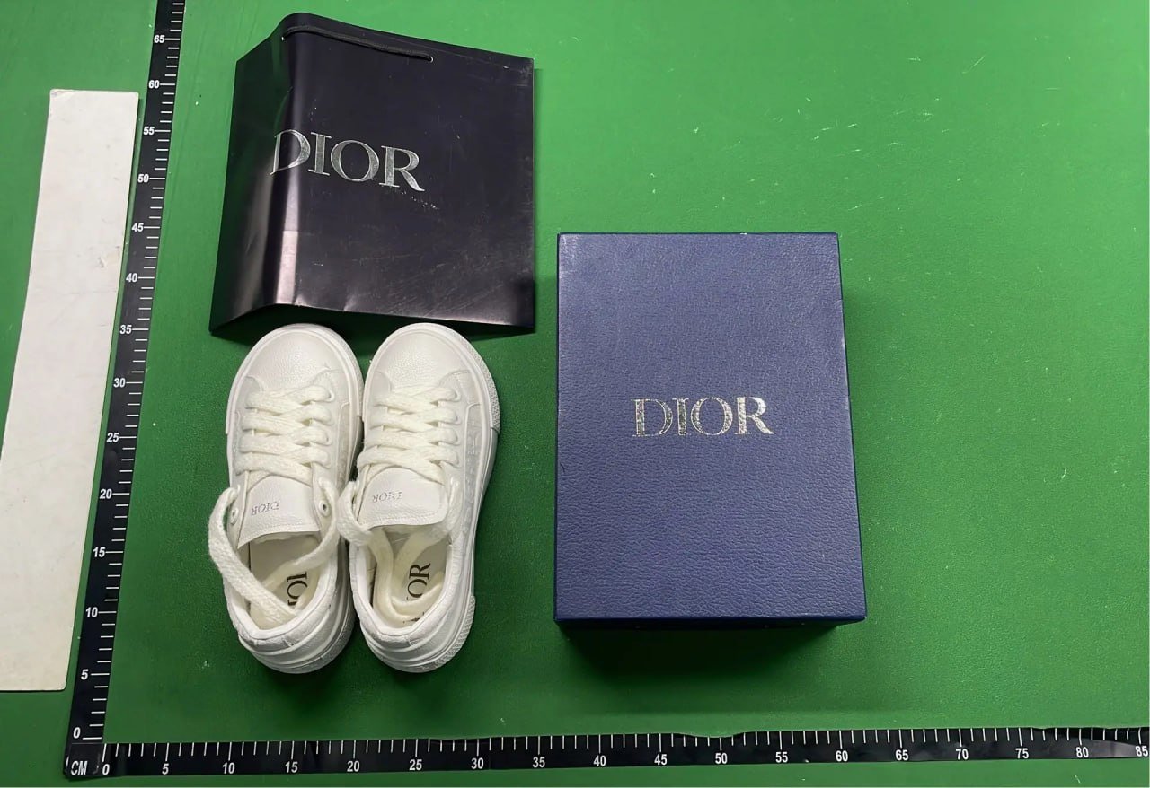 Dior B33 Shoe