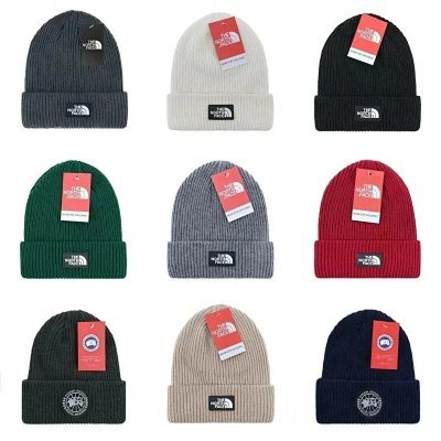THE NORTH FACE knitted hat (various styles availab