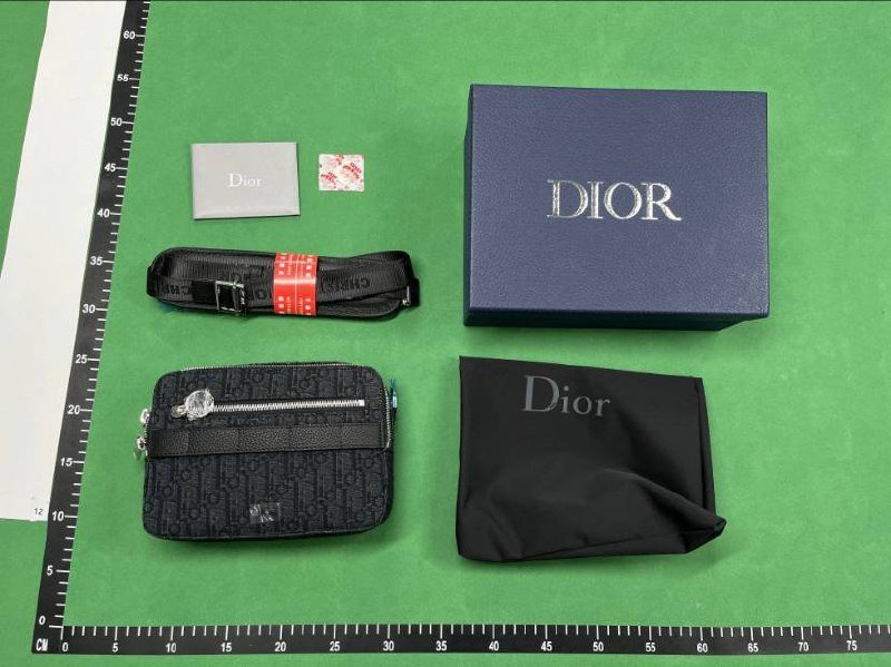 Dior Oblique Saddle Bags [40 styles]