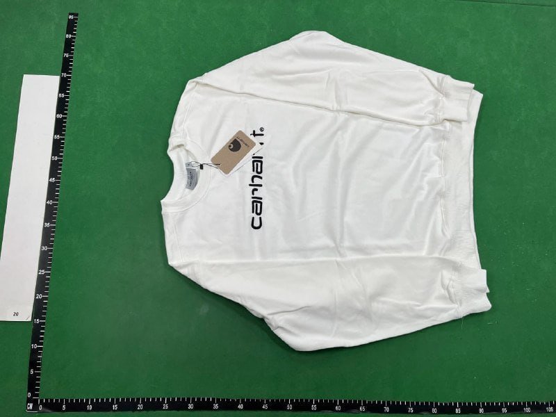 carhatt hoodie(40 CP)