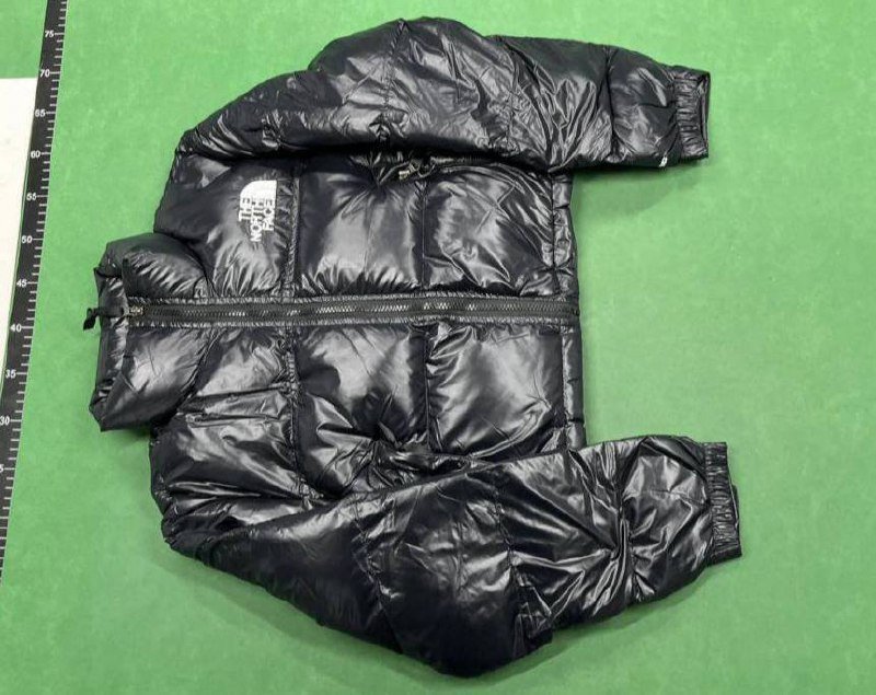 The North Face Down jacket Vest( 39 style TOP
