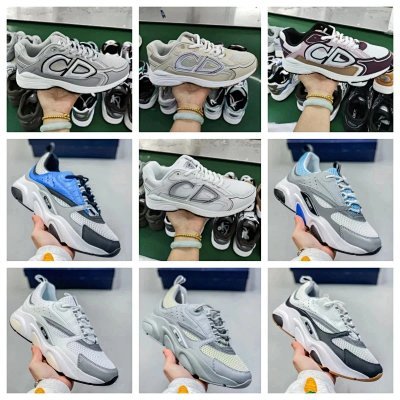 DIOR B30 B22 B25 （Wi