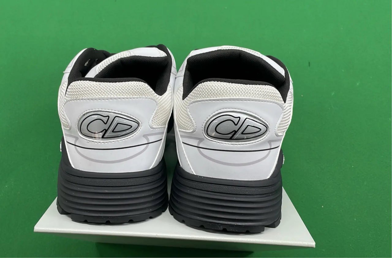 Dior B30