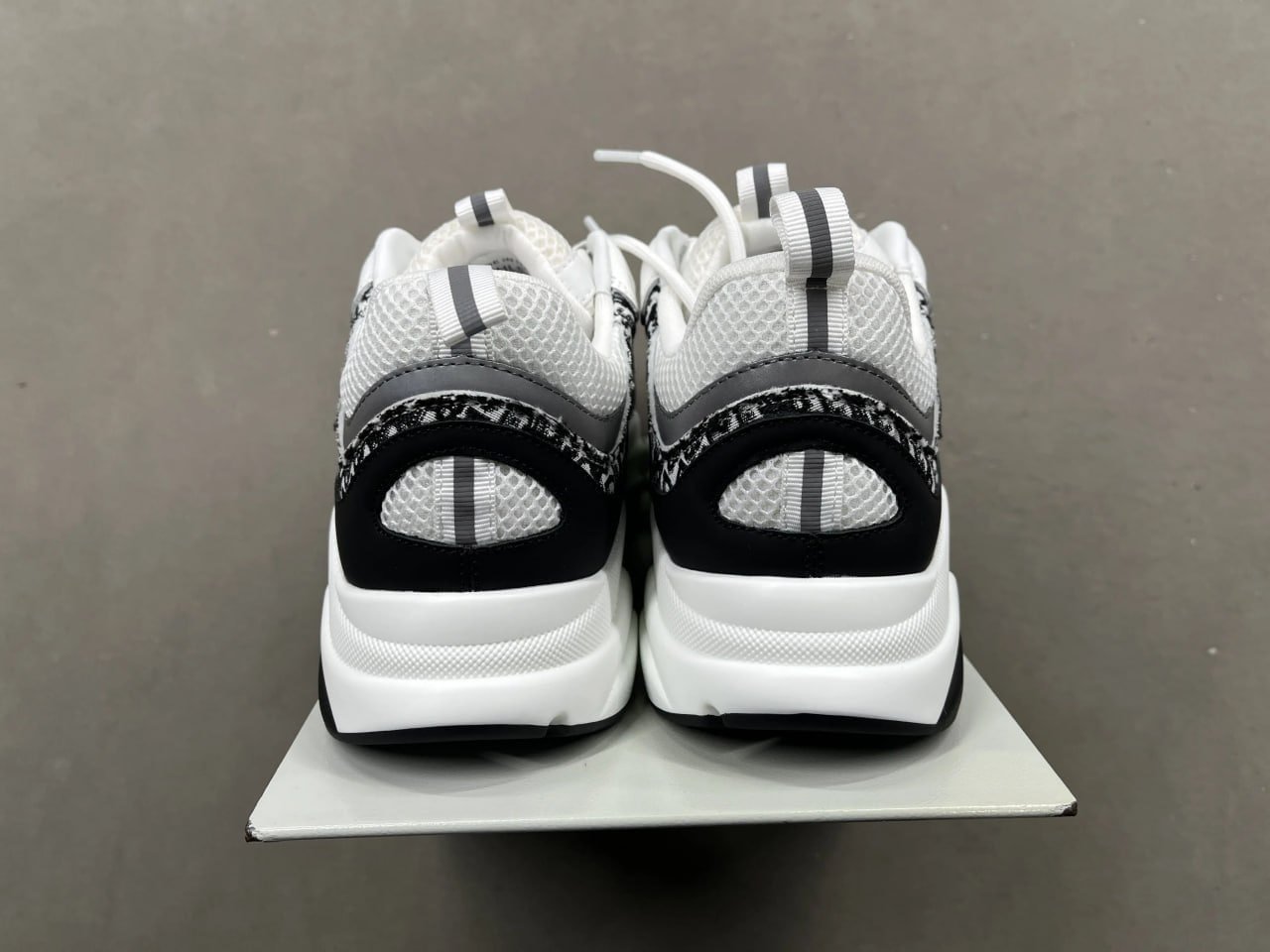 Dior B22 