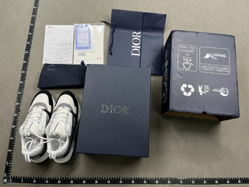 Dior B22 