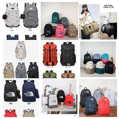 The North Face Backp