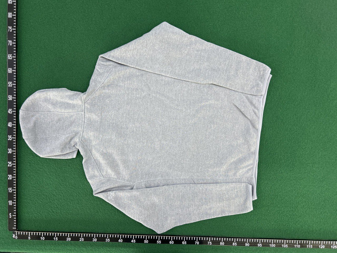 Acteryx hoodie