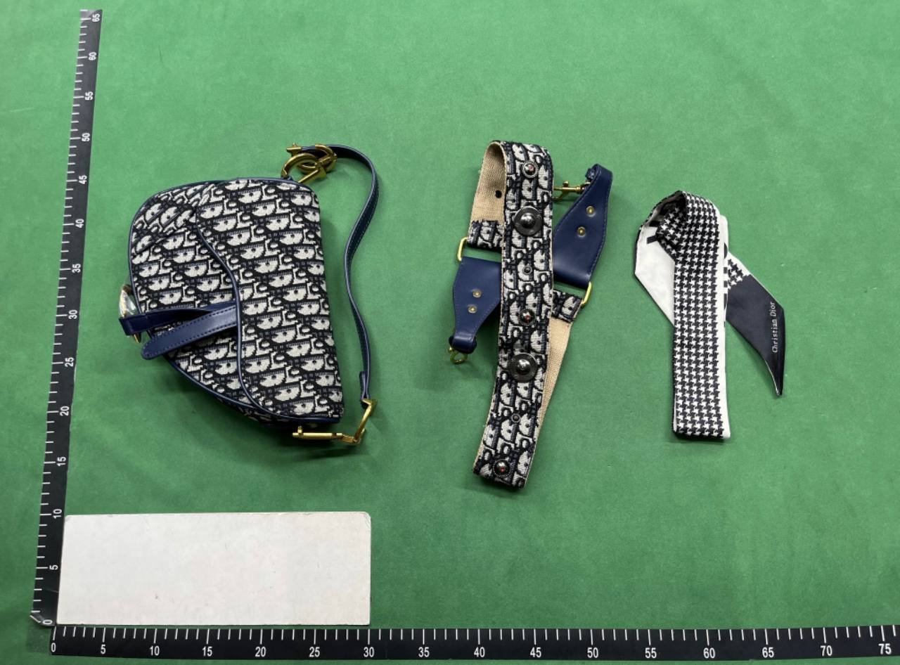 Dior Oblique Saddle Bags