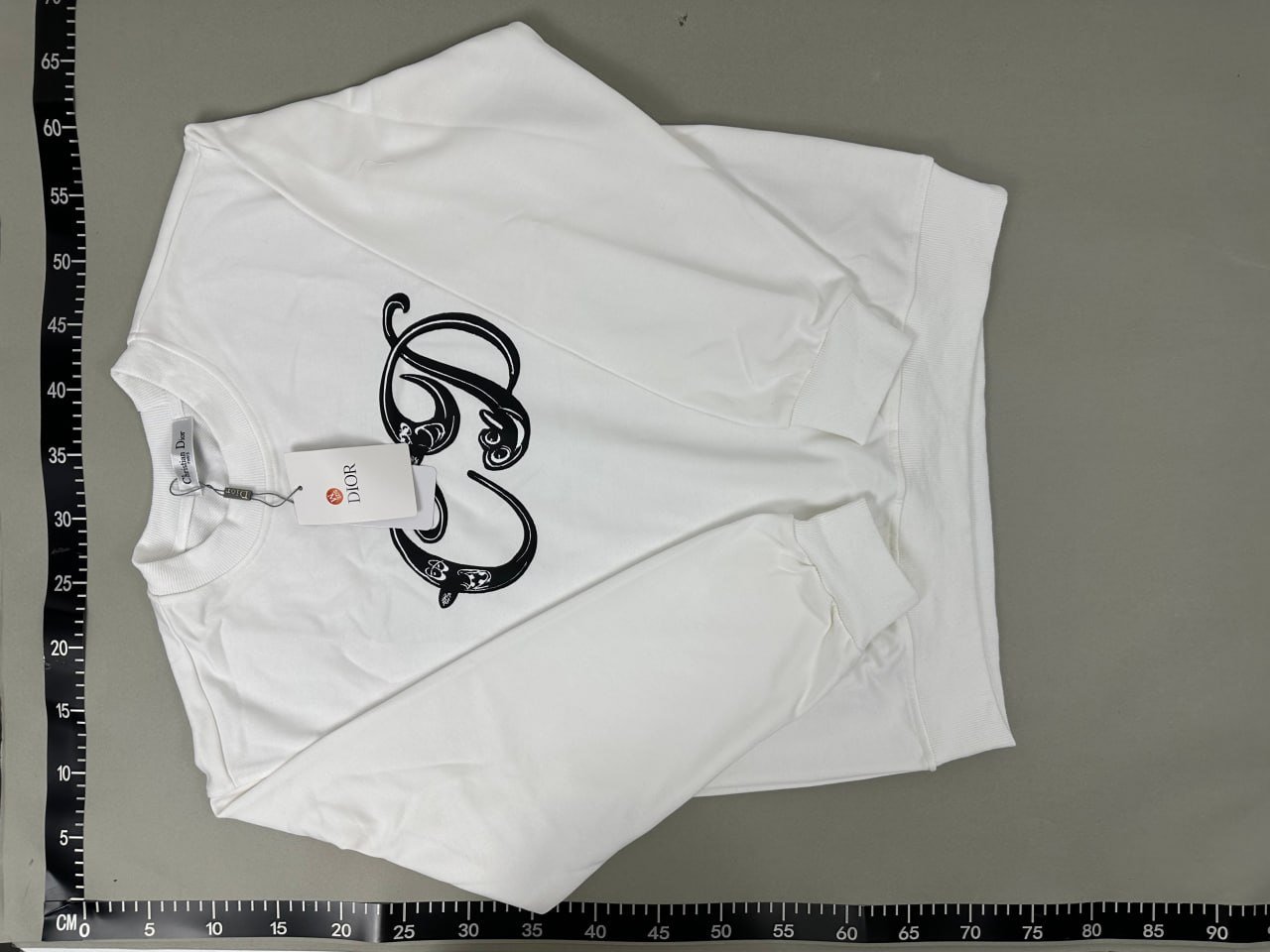Dior Hoodie