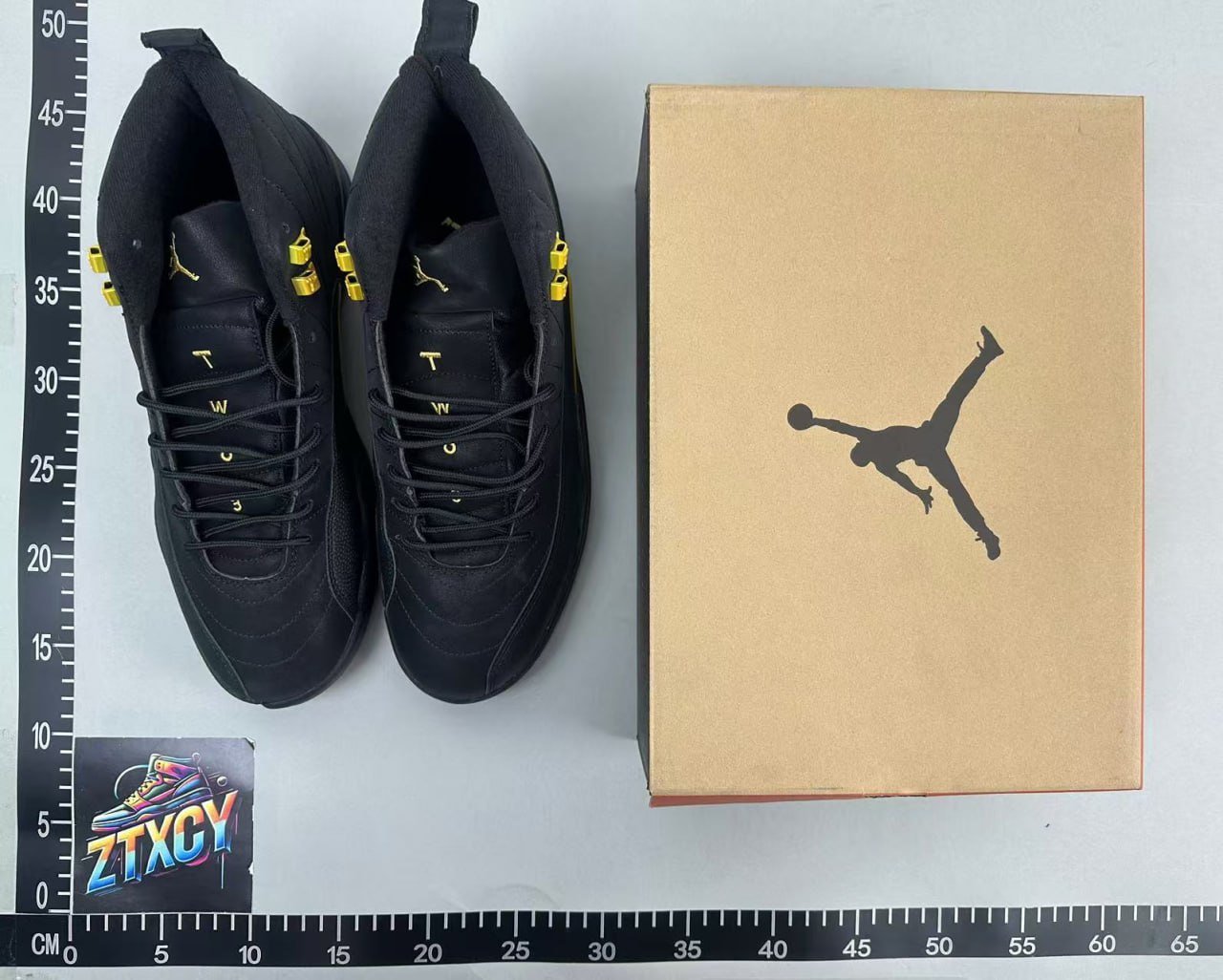 Air Jordan 12