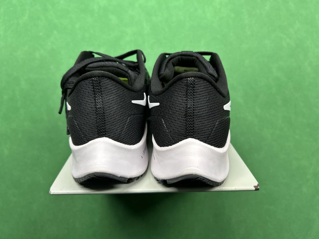GOT-Pegasus 40