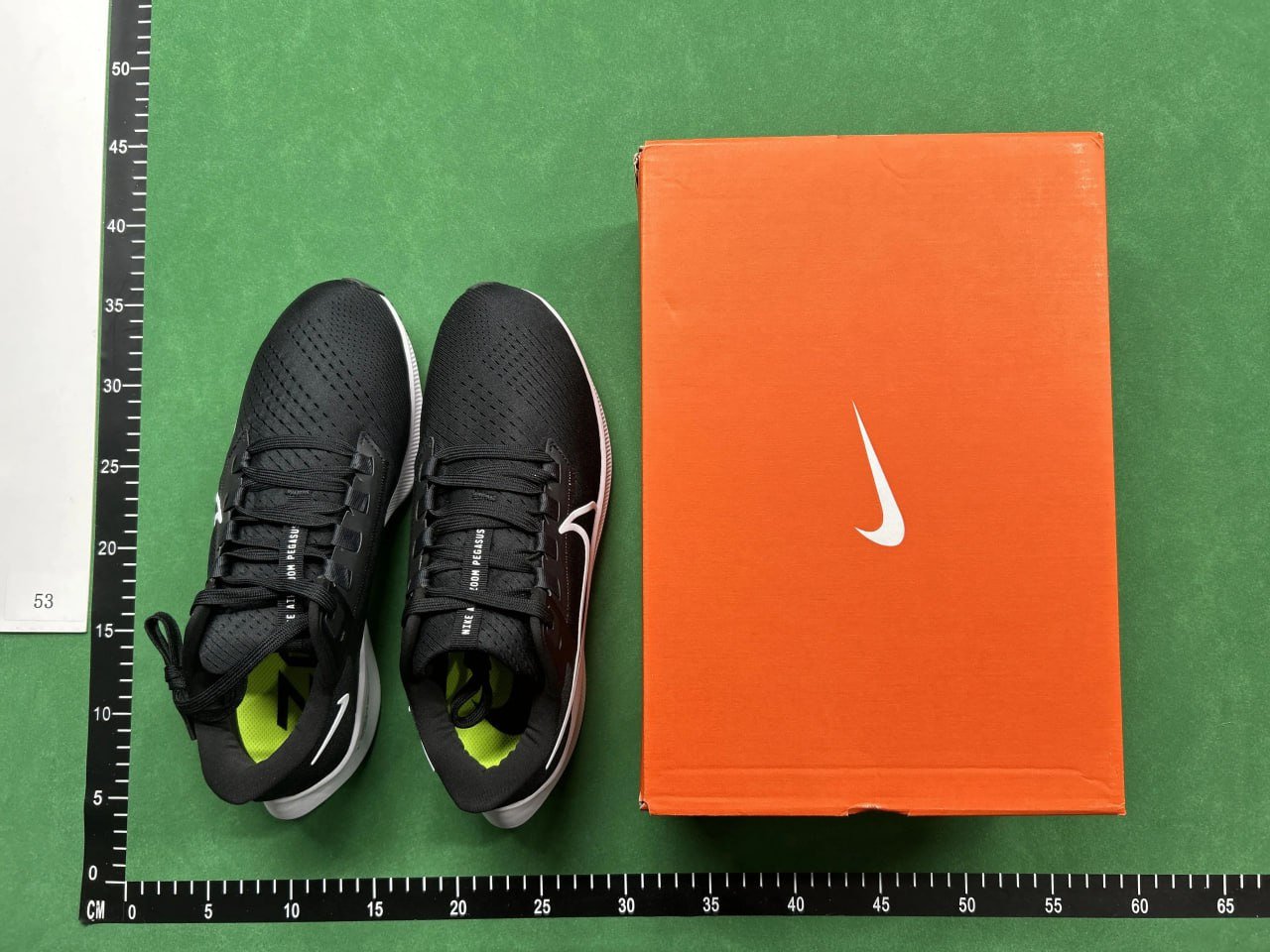 GOT-Pegasus 40