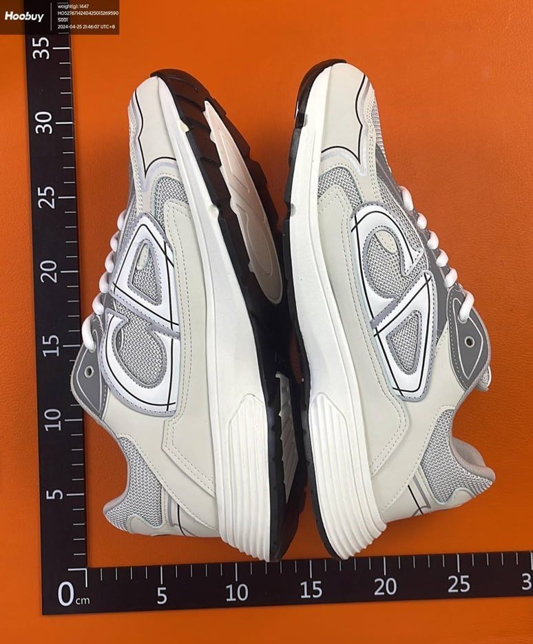 Dior Shoes B30