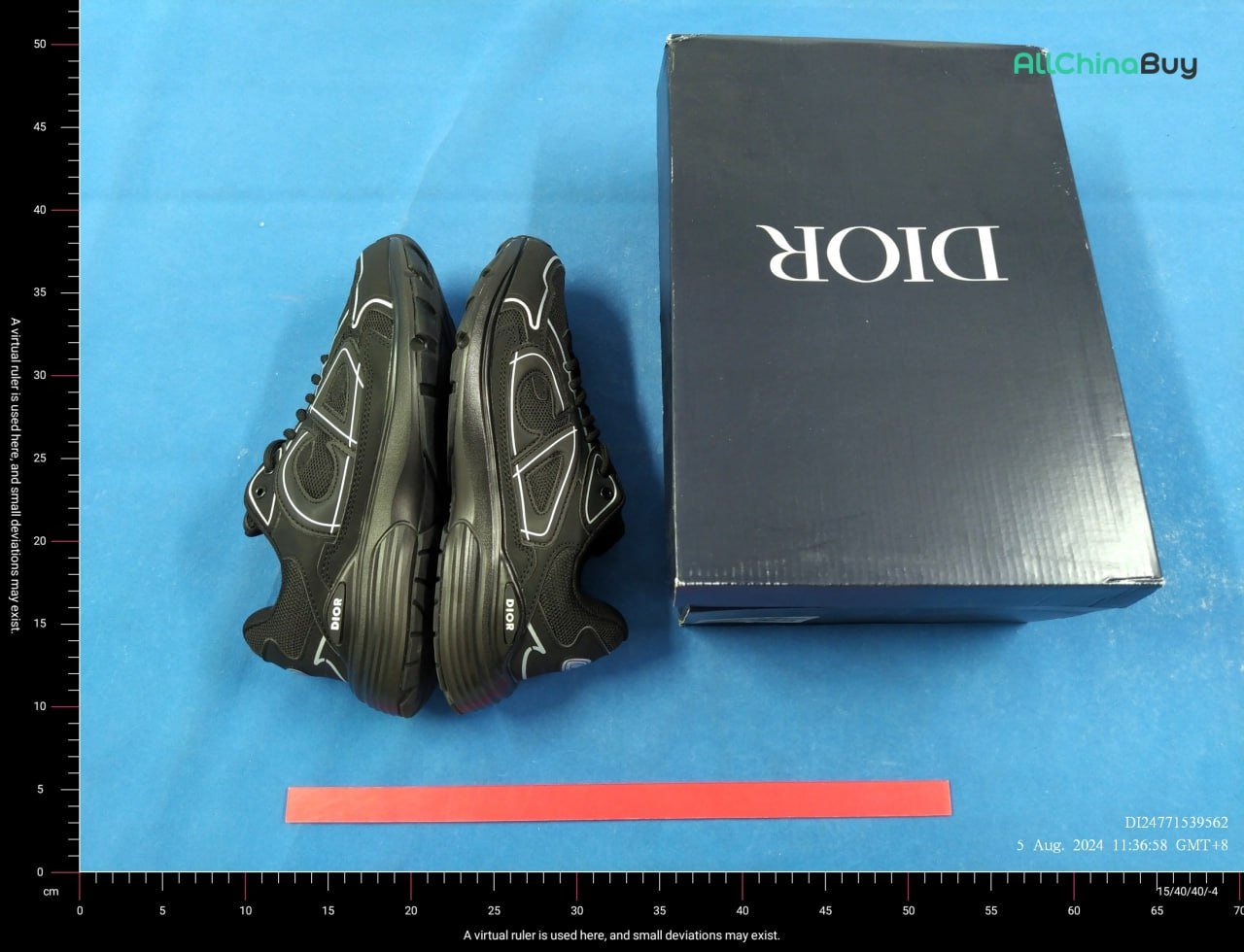 Dior Shoes B30
