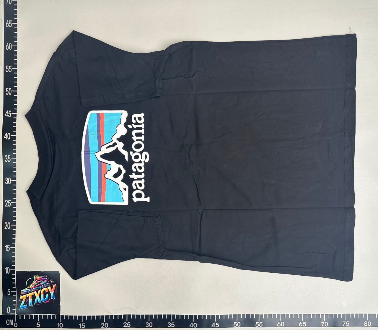 Patagonia T-shirt
