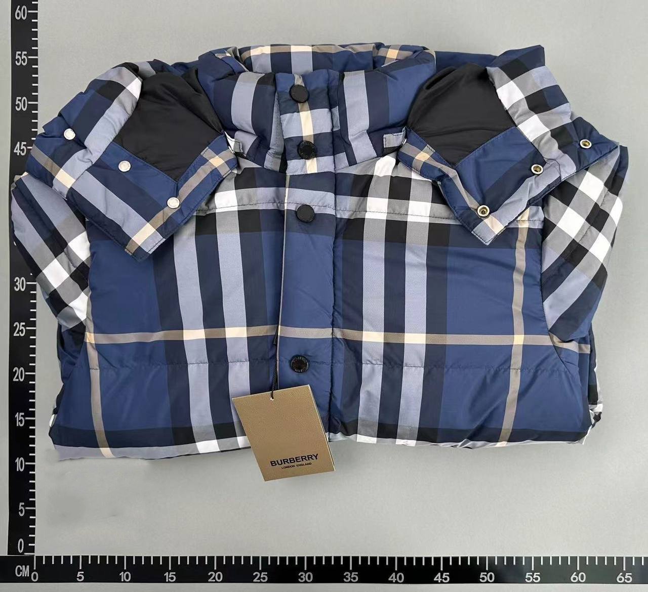 BURBERRY Down
