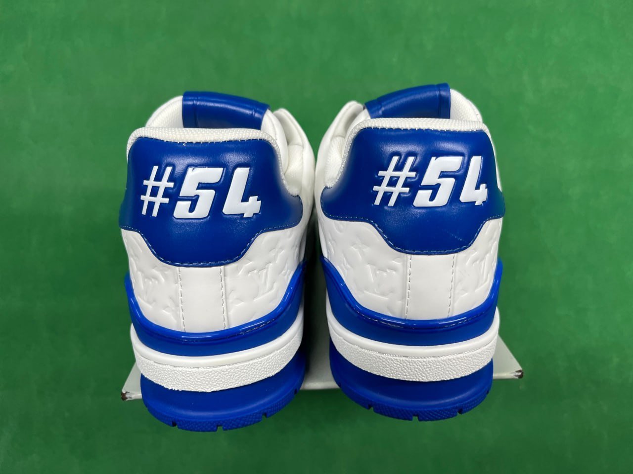 FS-LV Trainer